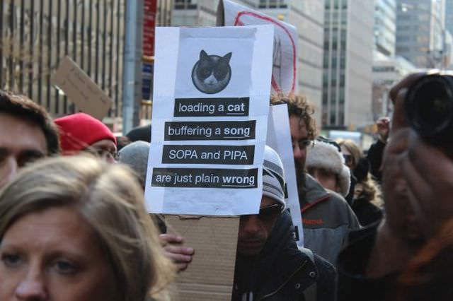 11 sopa