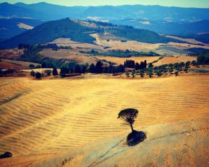 toscana