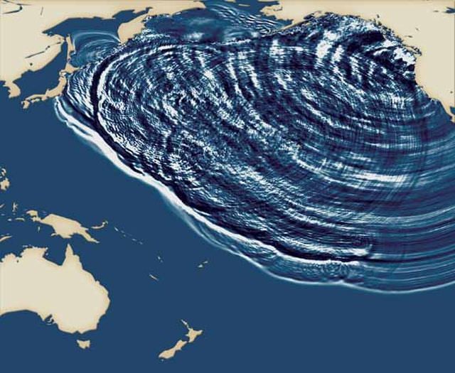 16 Orphan Tsunami