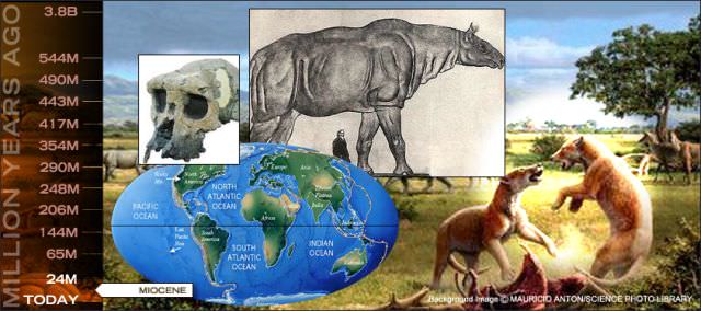 1miocene