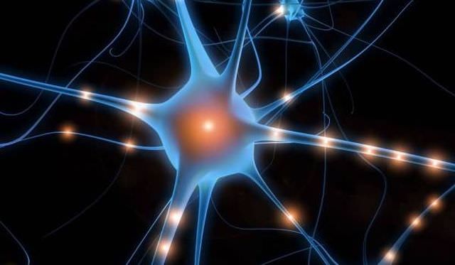 1neuroni