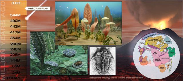 1precambrian