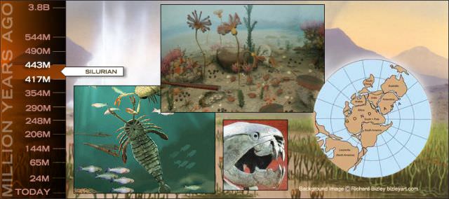 1silurian