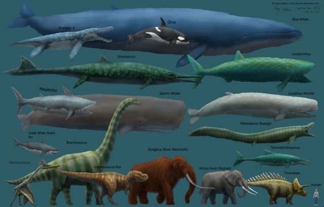 1megafauna