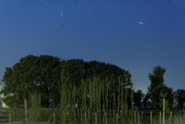 cometa8