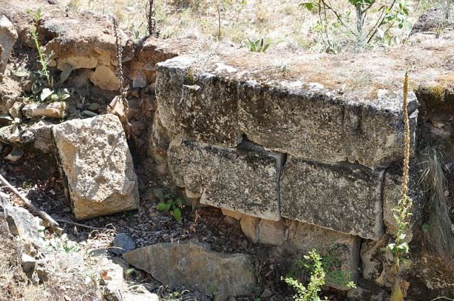 1cetatea dacica de la capalna