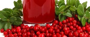 Fruit cranberries drink