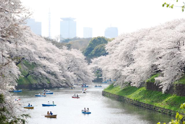 1Ueno Park