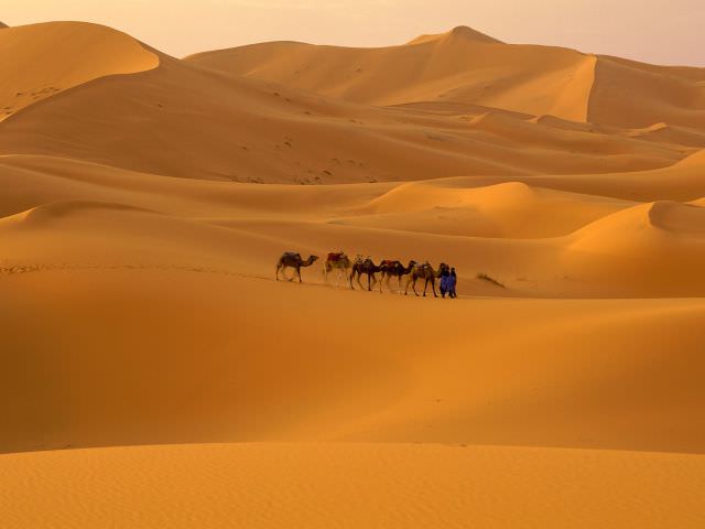 1deserturile