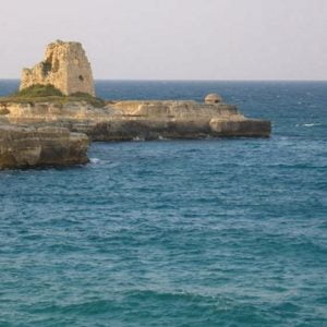 1marea adriatica