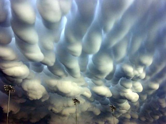 1norii Mammatus