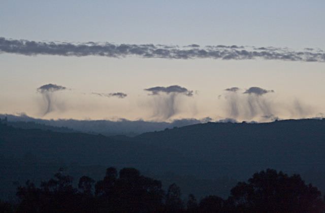 1virga