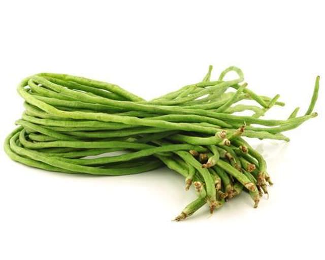 1yardlong