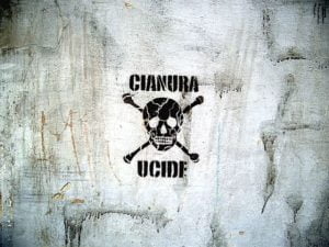 1cianura