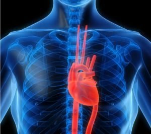 1Boli cardiovasculare