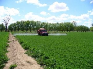 1Pesticide