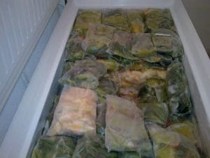 1mancarurile congelate