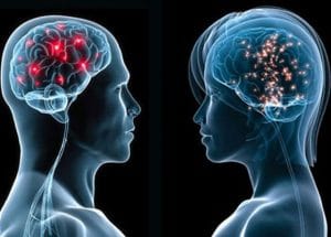 a98246_4810.male-vs-female-brain