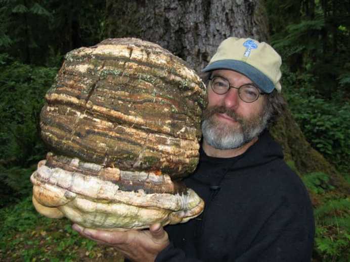 Paul Stamets1