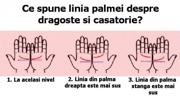 palma_opt