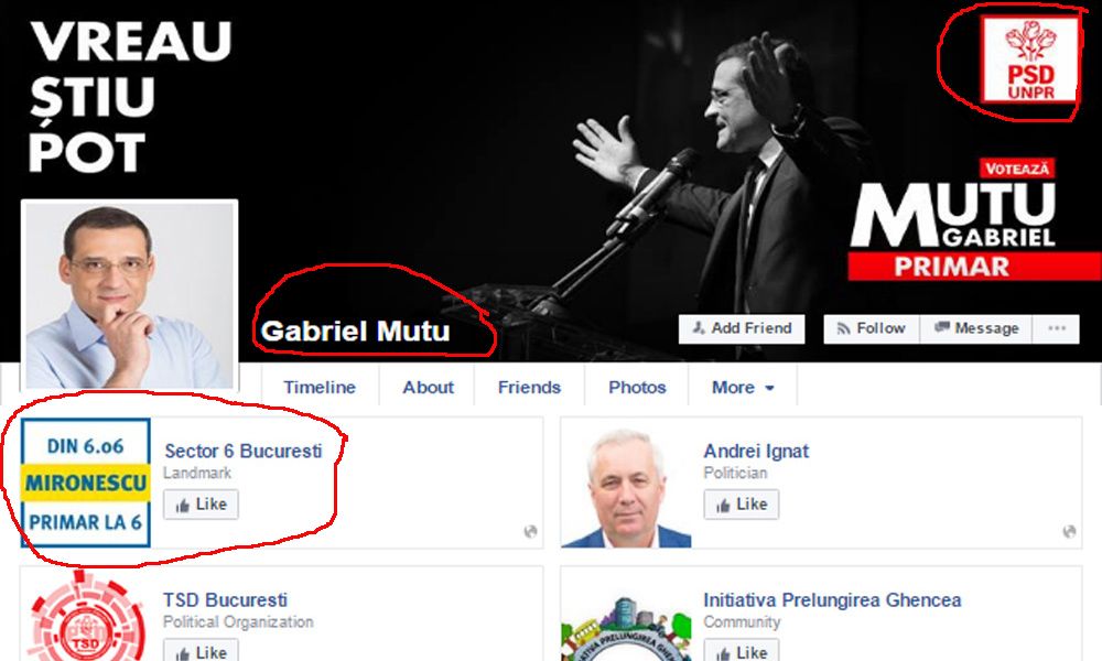 Mutu Mironescu facebook