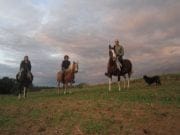 Un grup de olandezi strabate Europa calare