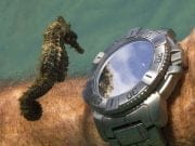 Topul celor mai spectaculoase 100 de fotografii ale anului 2012! Partea I – GALERIE FOTO!