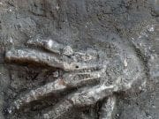 Descoperire infricosatoare intr-un vechi palat regal din Egipt