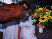Topul celor mai frumoase FOTOGRAFII distruse de aparitii surprinzatoare ale animalelor care vor in centrul atentiei! GALERIE FOTO