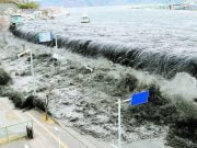 Cutremur de 7,3 grade in Japonia! Alerta de TSUNAMI! Vezi VIDEO