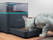 Inventia “Pintofeed”! Te anunta pe Facebook cand a mancat animalul tau! VIDEO