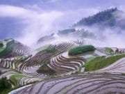 „Scarile catre Rai” – Orezariile din China: Peisaje superbe! GALERIE FOTO