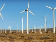 Industria eoliana in FALIMENT? Guvernul are deja pregatita legea care le injumatateste subventiile pentru producerea energiei verde!