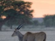 TOP ZECE POZE din concursul NAT GEO 2013 care te vor lasa FARA CUVINTE!