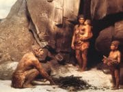 OMUL MODERN a mostenit din ADN-ul omului de NEANDERTHAL!