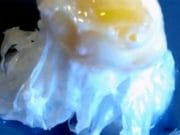 EXPERIMENT INEDIT: Ce se intampla daca spargi un ou la -75 de grade! VIDEO