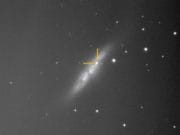 Supernova 2014J, observata de astronomii de la Barlad! VIDEO