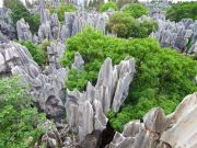 Este considerata PRIMA MINUNE A LUMII! Vezi cum arata PADUREA DE PIATRA din China! FOTO