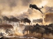 40 de IMAGINI greu de IMAGINAT: Cine sunt castigatorii concursului Sony World Photography Awards 2014! Un roman se afla printre ei!