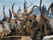 GALERIE FOTO: Viata in imagini a TRIBULUI DINKA din SUDAN!