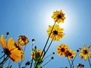 25 de lectii spirituale importante