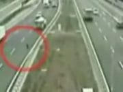 GESTUL acestui catelus a facut INCOJURUL LUMII! A actionat intr-un moment in care nu multi dintre oameni ar fi facut-o! VIDEO