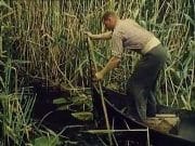 IMAGINI DE COLECTIE cu Delta Dunarii sau „PARADISUL PENTRU ORICE PESCAR”, intr-un reportaj britanic din 1962! VIDEO