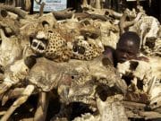 Imagini care iti vor pune inima la grea incercare cu PIATA DE PRODUSE VOODOO din Africa!