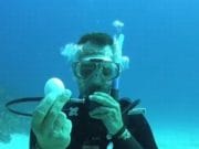 TU STIAI CE SE INTAMPLA DACA SPARGI UN OU IN APA ADANCA? VIDEO