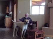 VIDEO EMOTIONANT: Nu mai putea vorbi din cauza bolii Alzheimer, dar ceva MIRACULOS s-a petrecut in prezenta cainelui sau!