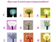 Copacul care iti poate spune multe despre personalitatea ta!