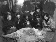 IMAGINI RARE care iti vor distruge tot ce stiai despre TRECUT!
