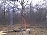 Nici NATURA nu l-a iertat! Acest barbat care vroia sa taie creanga unui copac cu drujba a fost lovit de ce se astepta mai putin! VIDEO