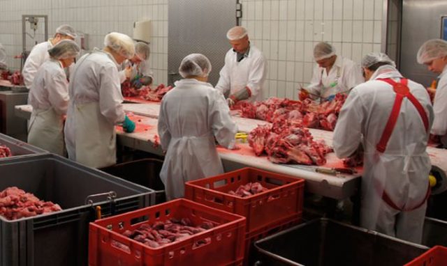 Romanii il mananca, iar strainii il dau animalelor de companie!